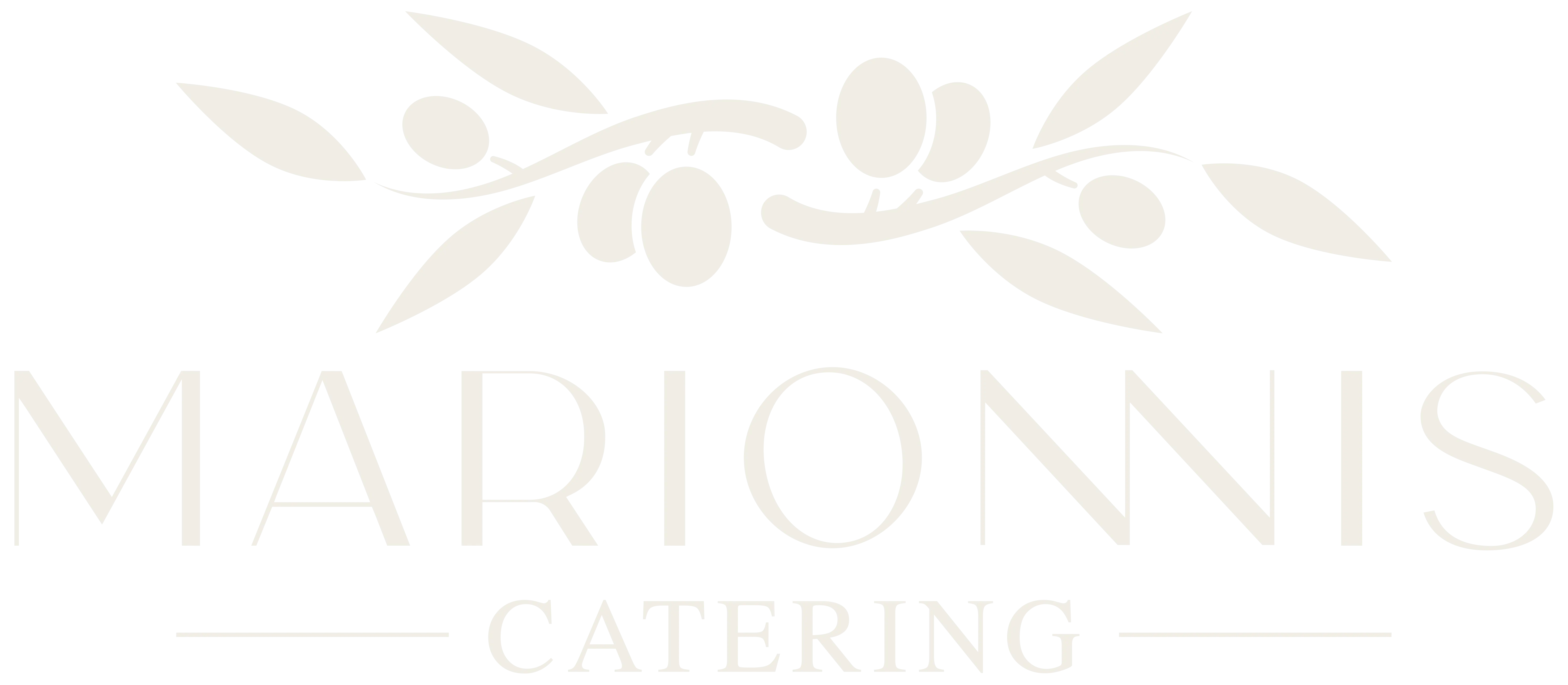 Marionnis Catering